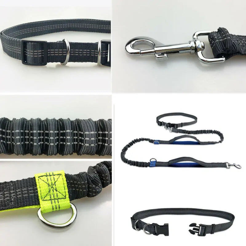 Reflective Rope Dog Leash – Hands-Free, Multi-Ring | Blue, Orange & Green