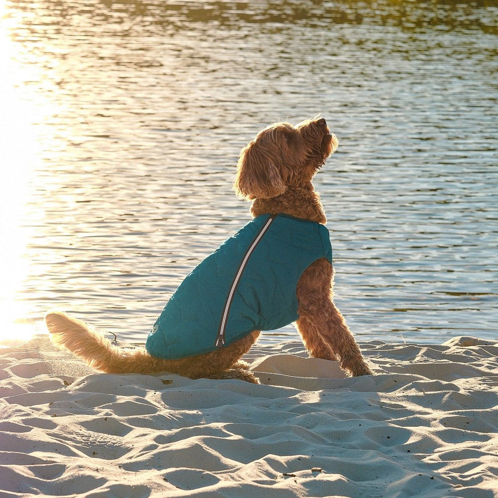 Fashion Pet Vest for Dogs